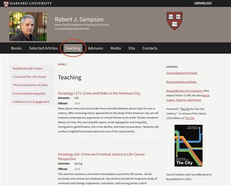 professor online site oficial